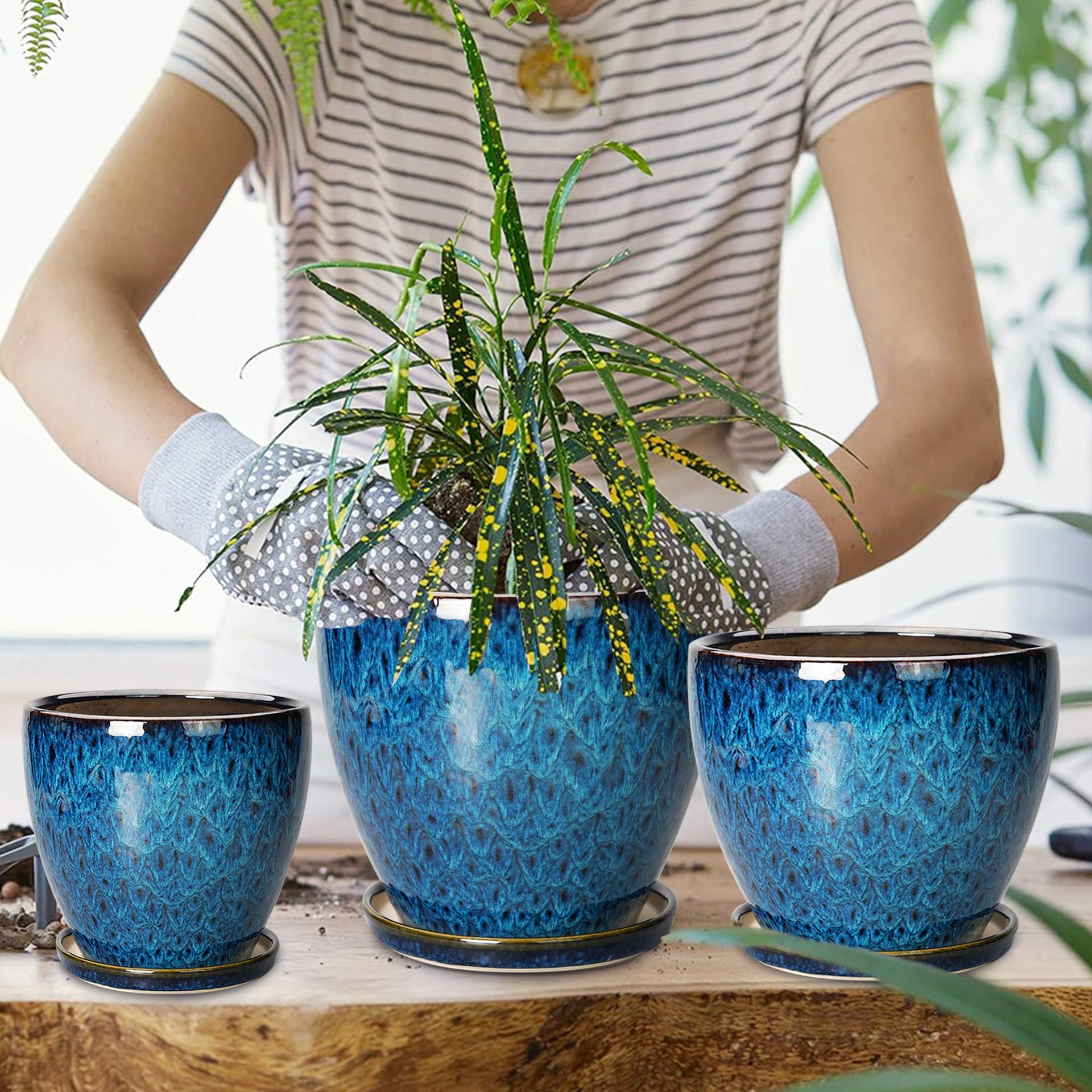 EPFamily set of three blue planters for versatile indoor-outdoor decor.