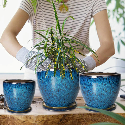 EPFamily set of three blue planters for versatile indoor-outdoor decor.