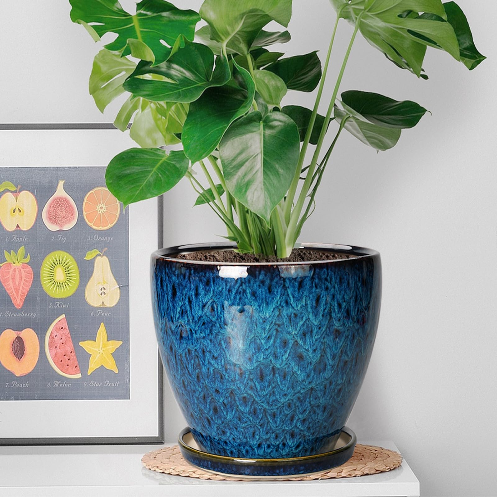 EPFamily planter with saucer in blue dish catching drips