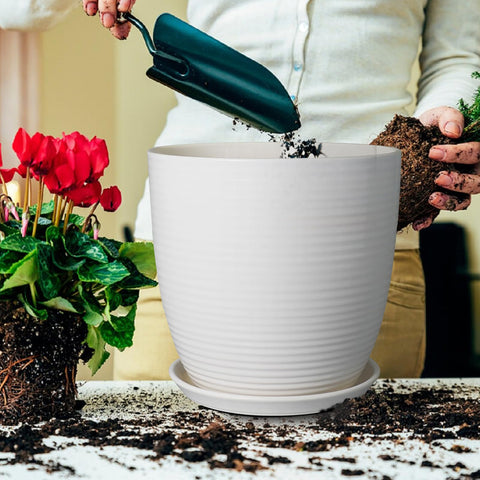 EPFamily planter includes a saucer to protect surfaces