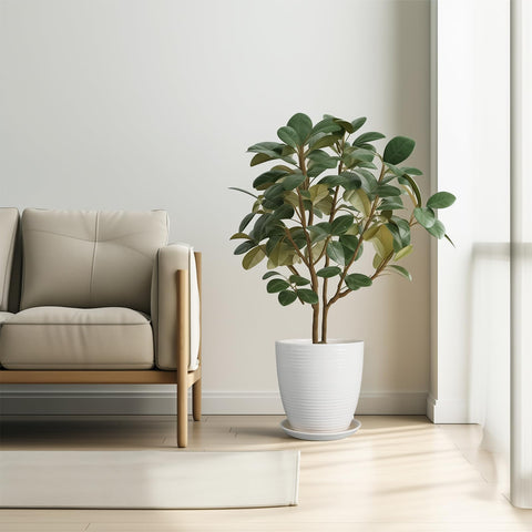 EPFamily removable ceramic tray shown for easy water collection and cleanup.