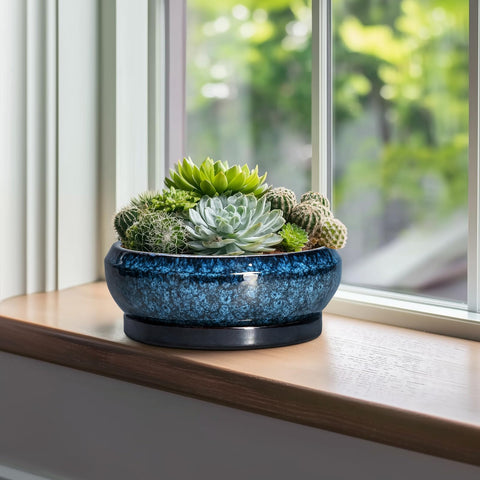 EPFamily shallow planter suited for succulents and compact arrangements