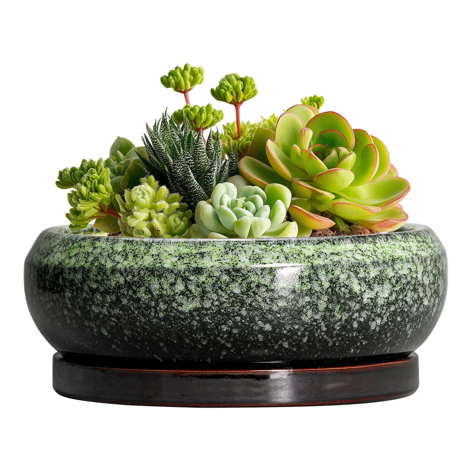 EPFamily ceramic bonsai pot with glaze for elegant indoor display and durable use.