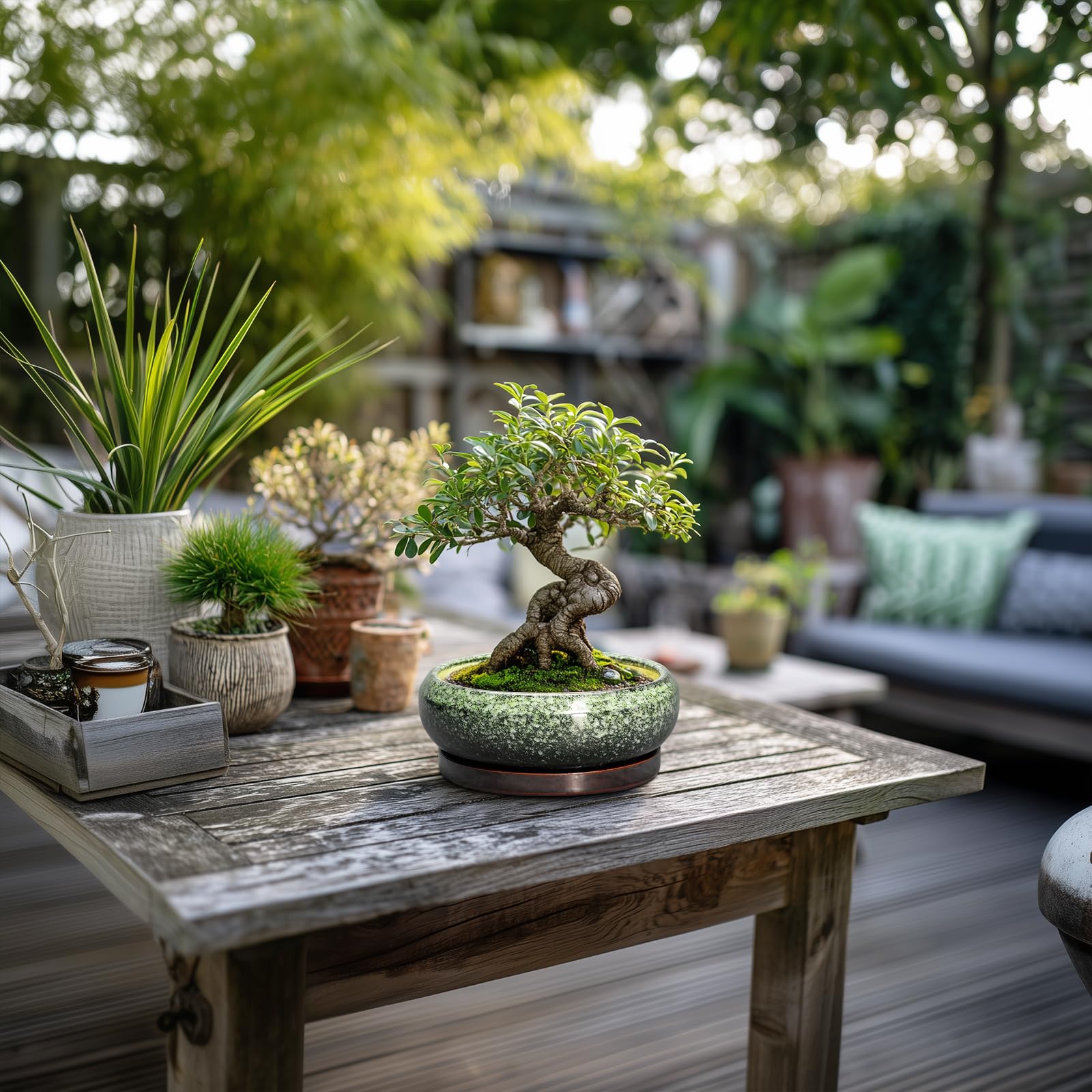 EPFamily durable ceramic succulent pot designed for indoor and outdoor use.