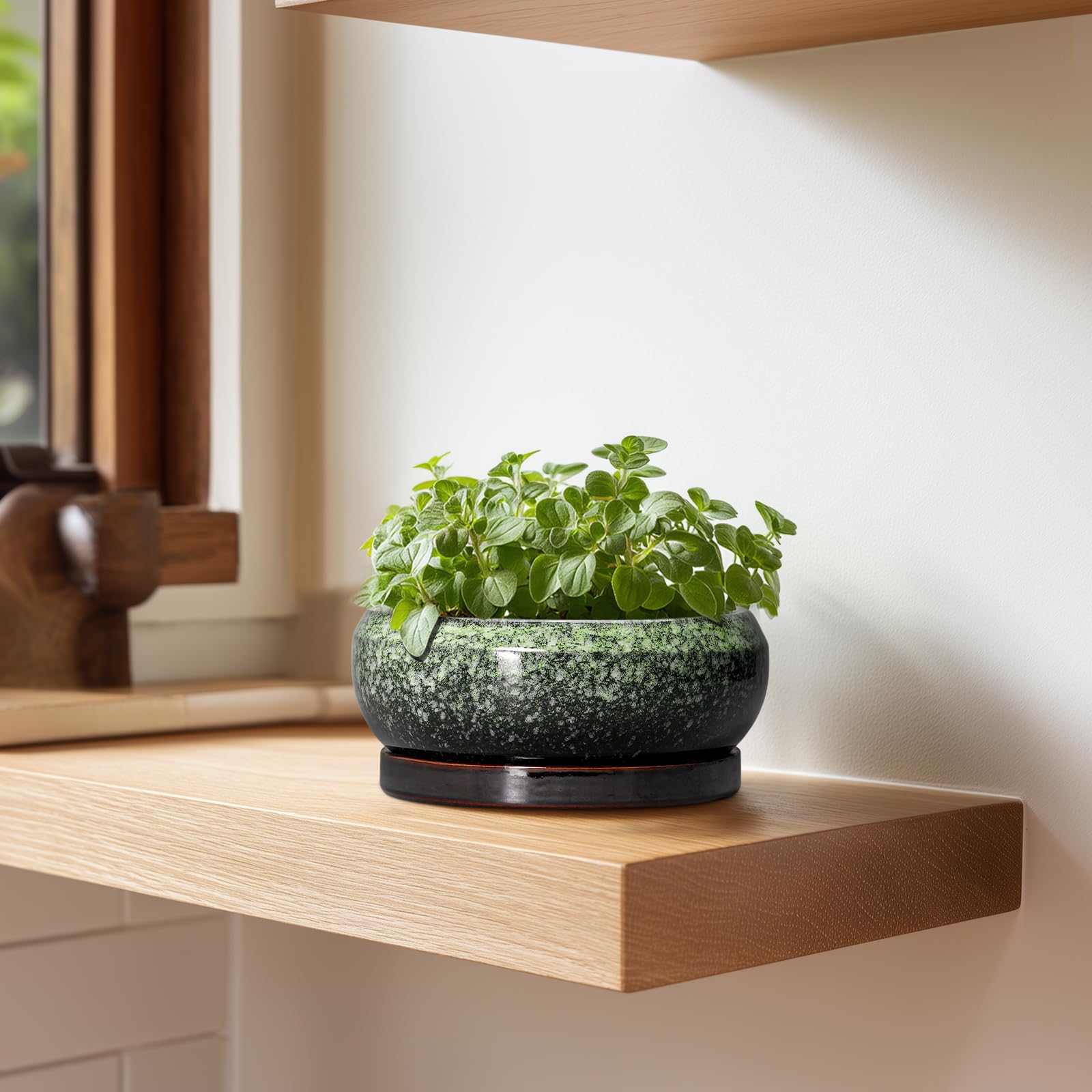 EPFamily gift-ready succulent pot makes a thoughtful present for plant lovers.