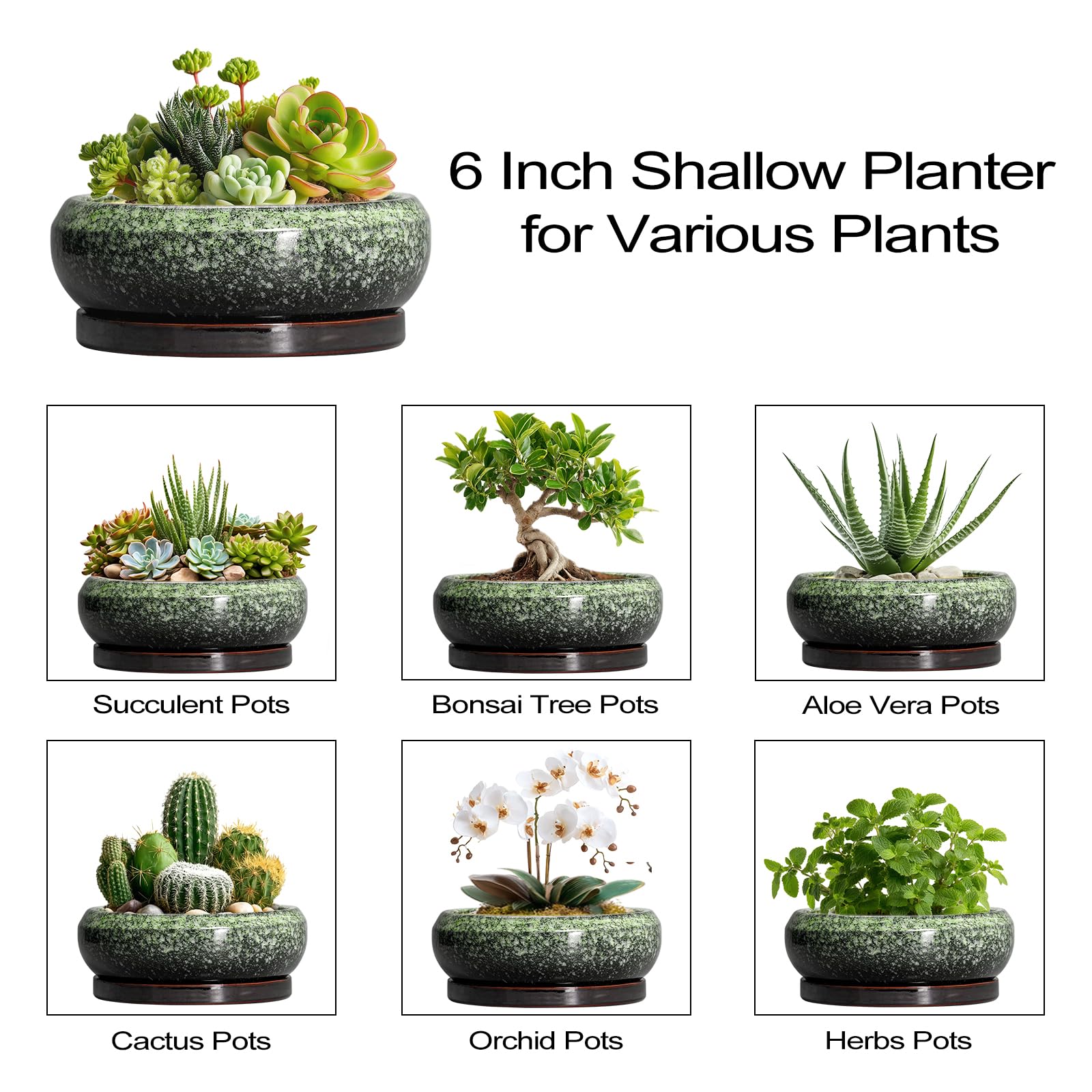 EPFamily outdoor-indoor succulent pot suitable for patios and desks.