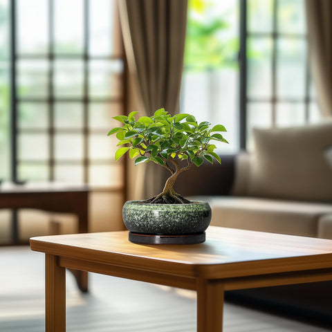 EPFamily room-decor succulent pot complements living spaces with green charm.