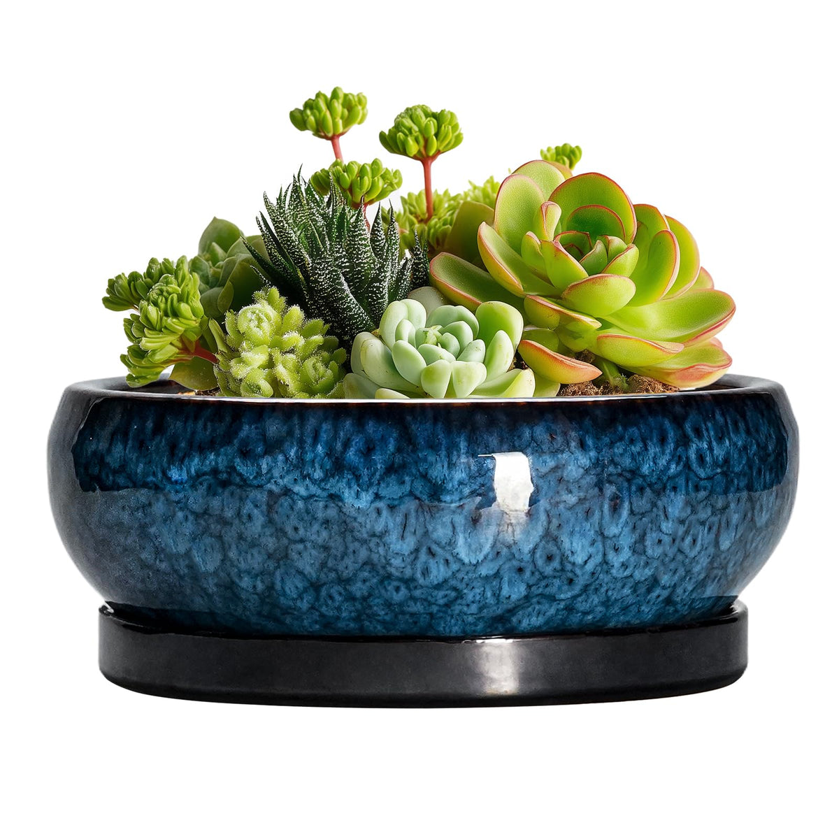 EPFamily blue glazed 6-inch succulent pot for desk displays.