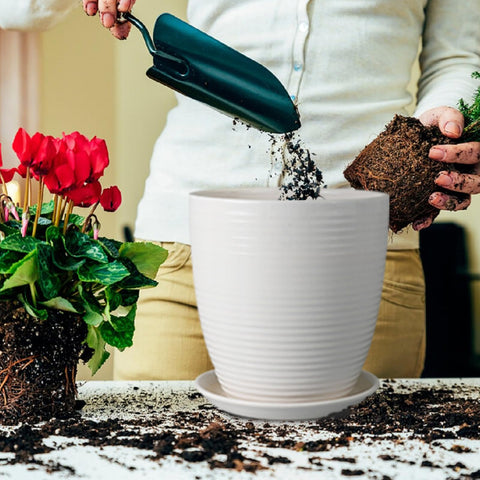 EPFamily white planter ideal for indoor or outdoor decor.
