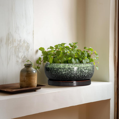 EPFamily wide top opening simplifies repotting and planting