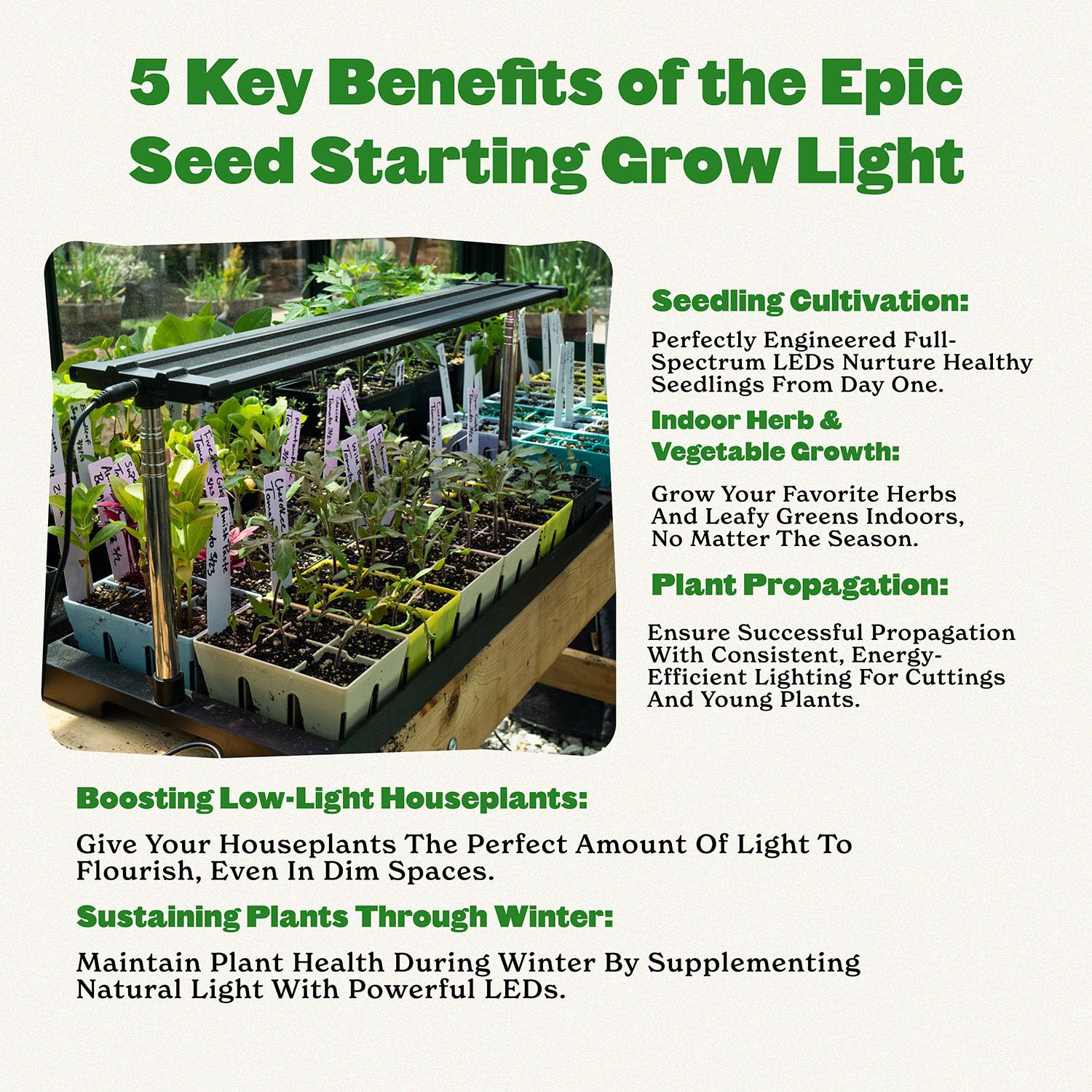 Epic Gardening built-in timer supports 8, 12, or 16-hour light cycles.