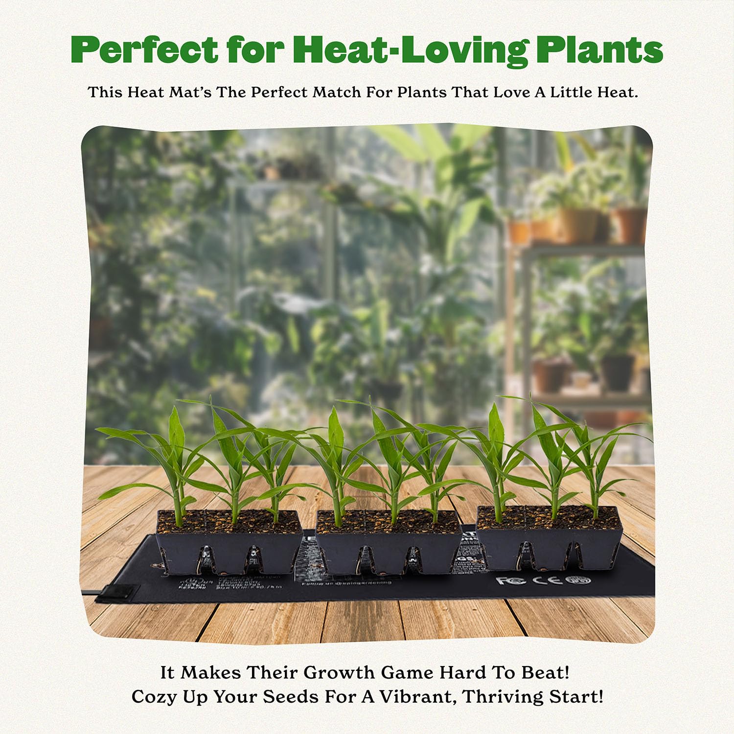 Epic Gardening Seedling Heat Mat 20W under tray provides consistent warmth for cooler rooms.
