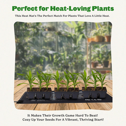 Epic Gardening Seedling Heat Mat 20W under tray provides consistent warmth for cooler rooms.