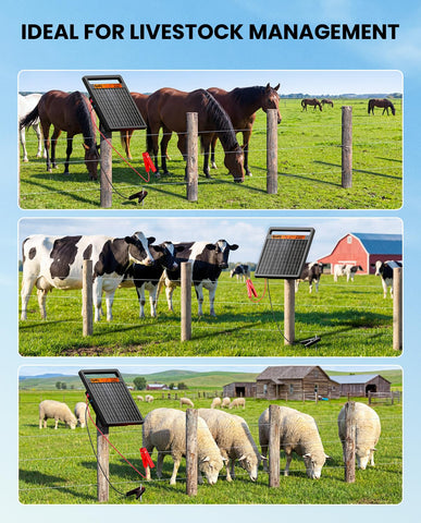 Epoify 10000mAh battery enables longer uptime between charges.