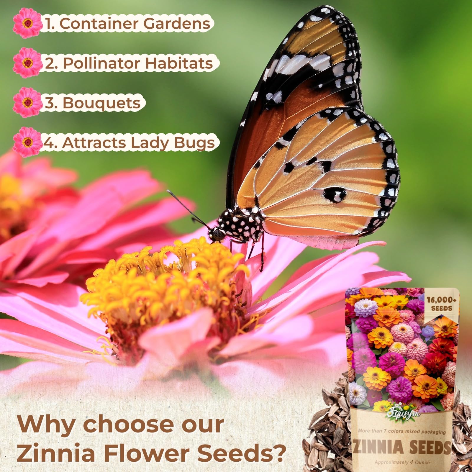 EquSym continuous-blooms zinnias offer color from summer to frost