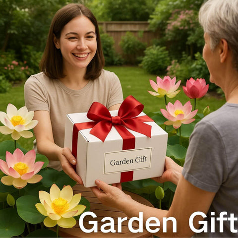 EquSym easy-to-grow lotus seeds, beginner-friendly with clear planting instructions.