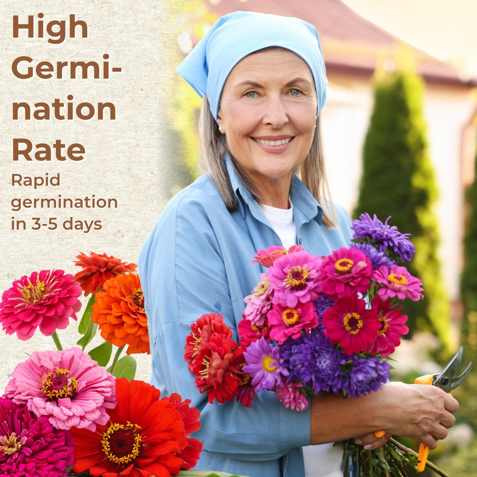 EquSym easy-grow seeds for low-maintenance, drought-tolerant flowers