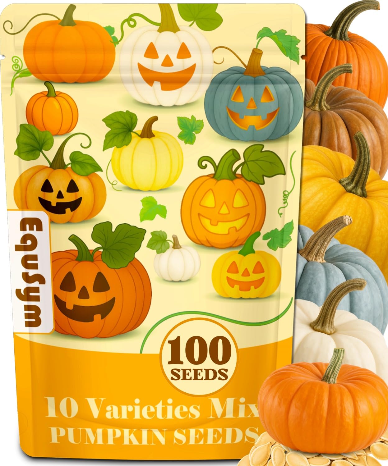 EquSym 10-variety pumpkin seeds image ready for planting, diverse varieties.