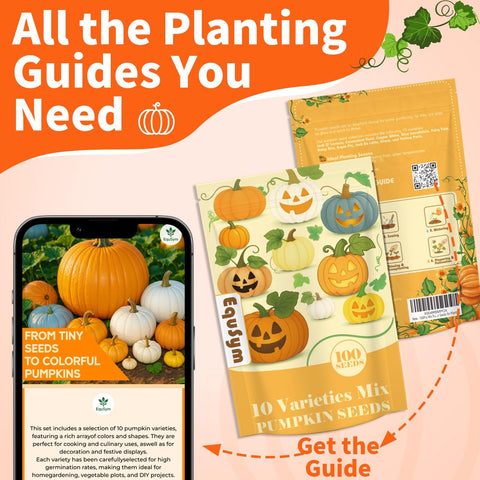 EquSym 10-variety mix pumpkin seeds image ideal for beginners starting garden.