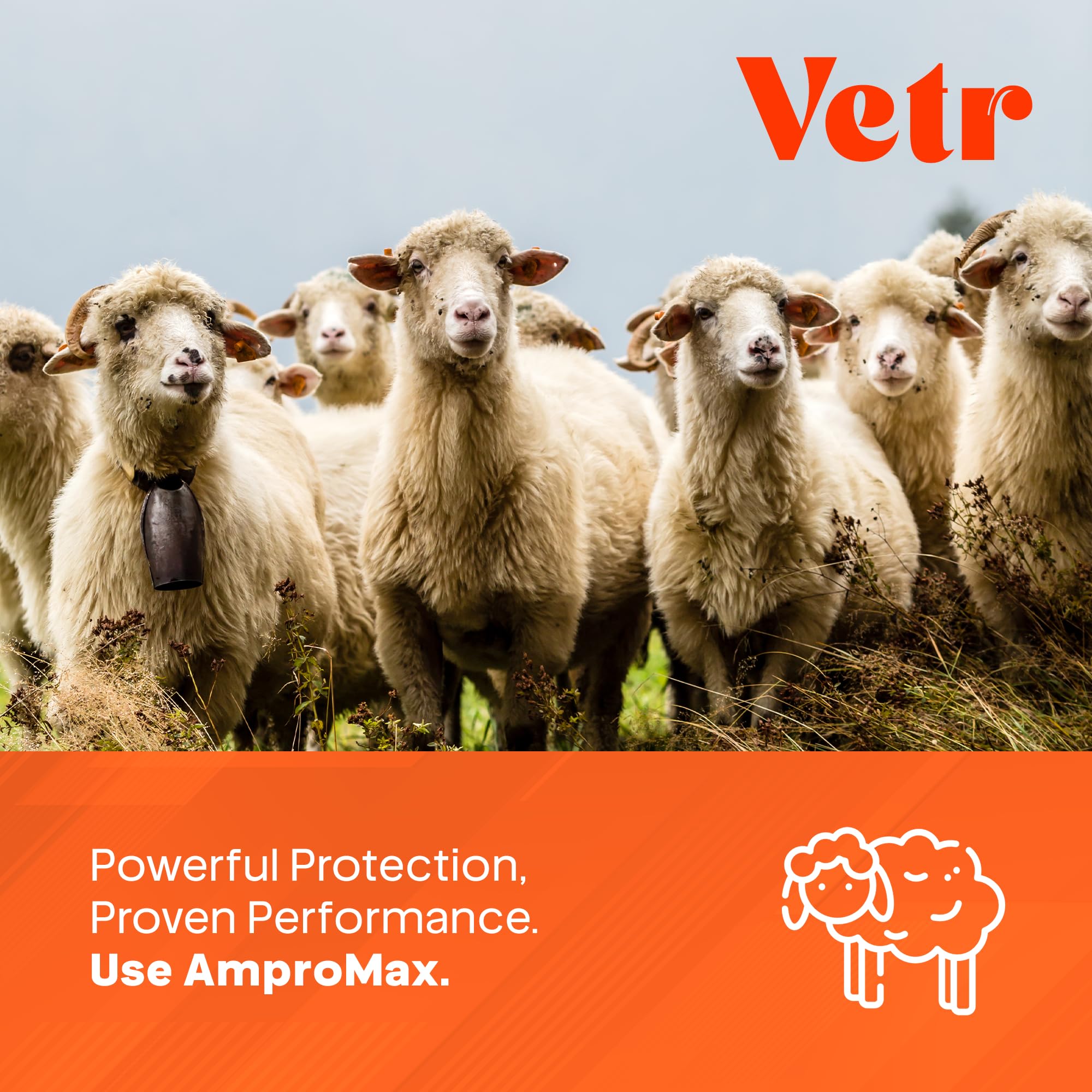 Equine Prime Ampromax drinking-water mix supports convenient on-farm use.