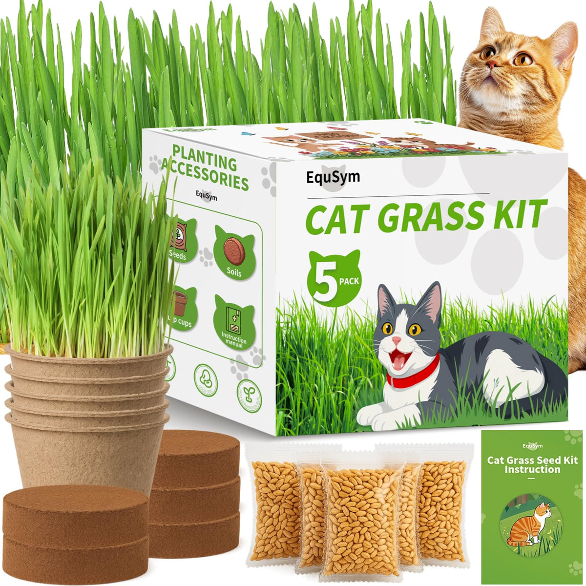 EquSym 5Pack Cat Grass Seeds Kit box packaging, gift-ready for cat lovers.