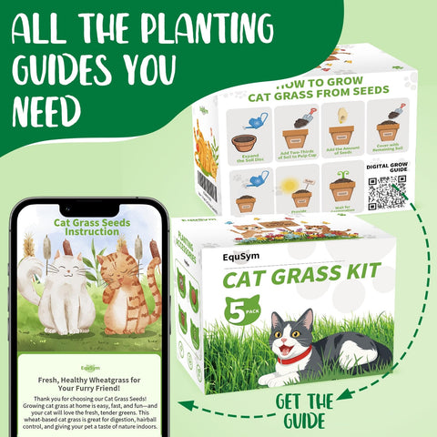 EquSym planting tips for successful germination and care.