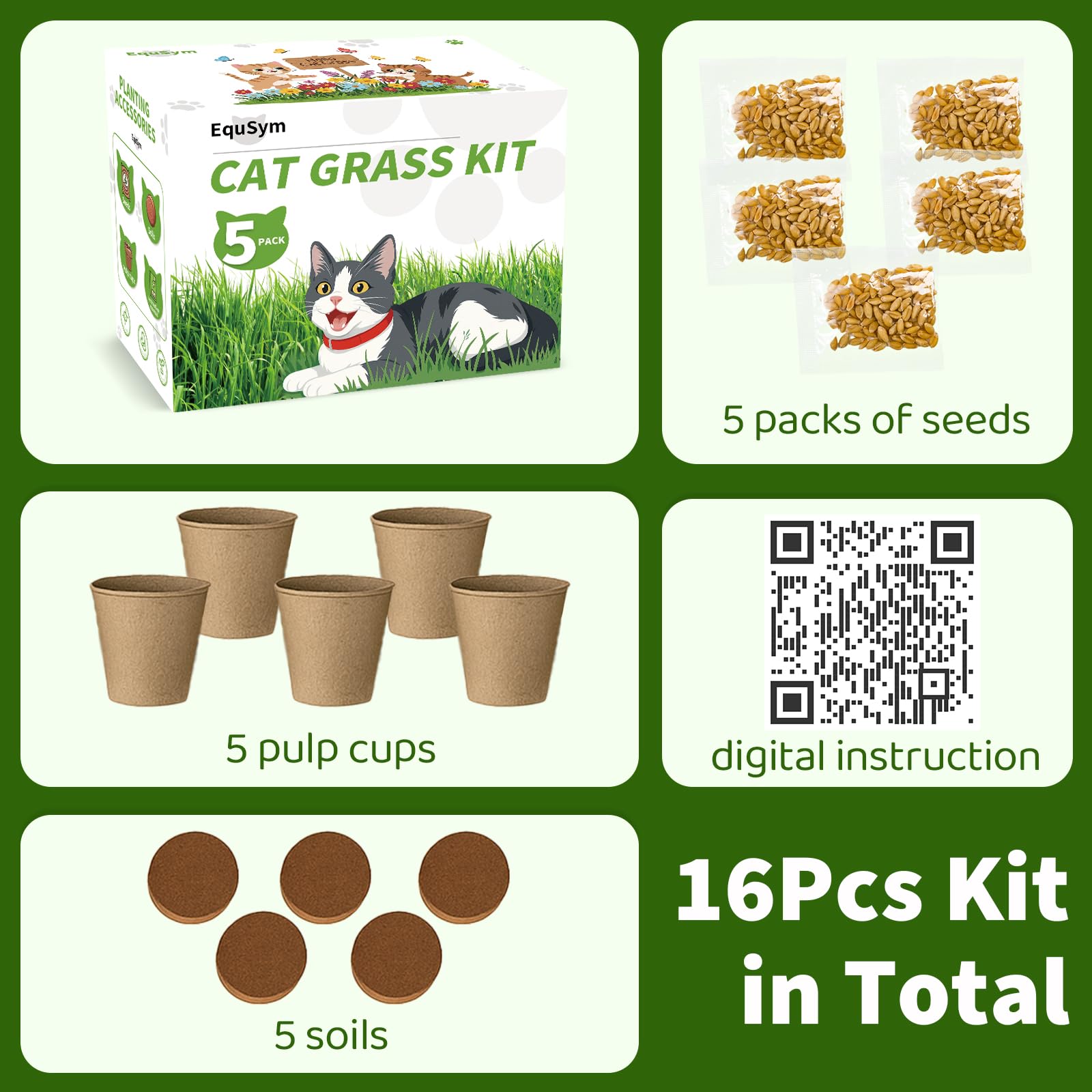 EquSym cat grass seeds germination process demonstrated with sprouts.