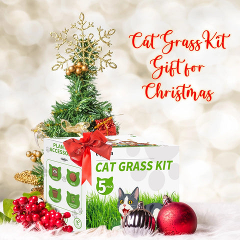 EquSym cat grass seeds packs ready for home growing.