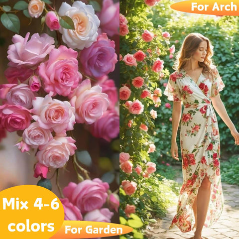 EquSym arch-trellis rose display for dramatic vertical garden focal point.