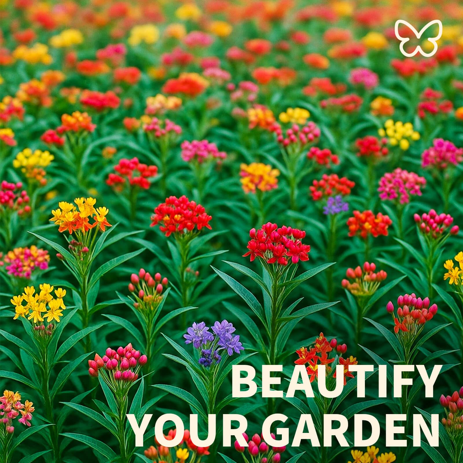 EquSym mix complements small spaces like balconies and yards.