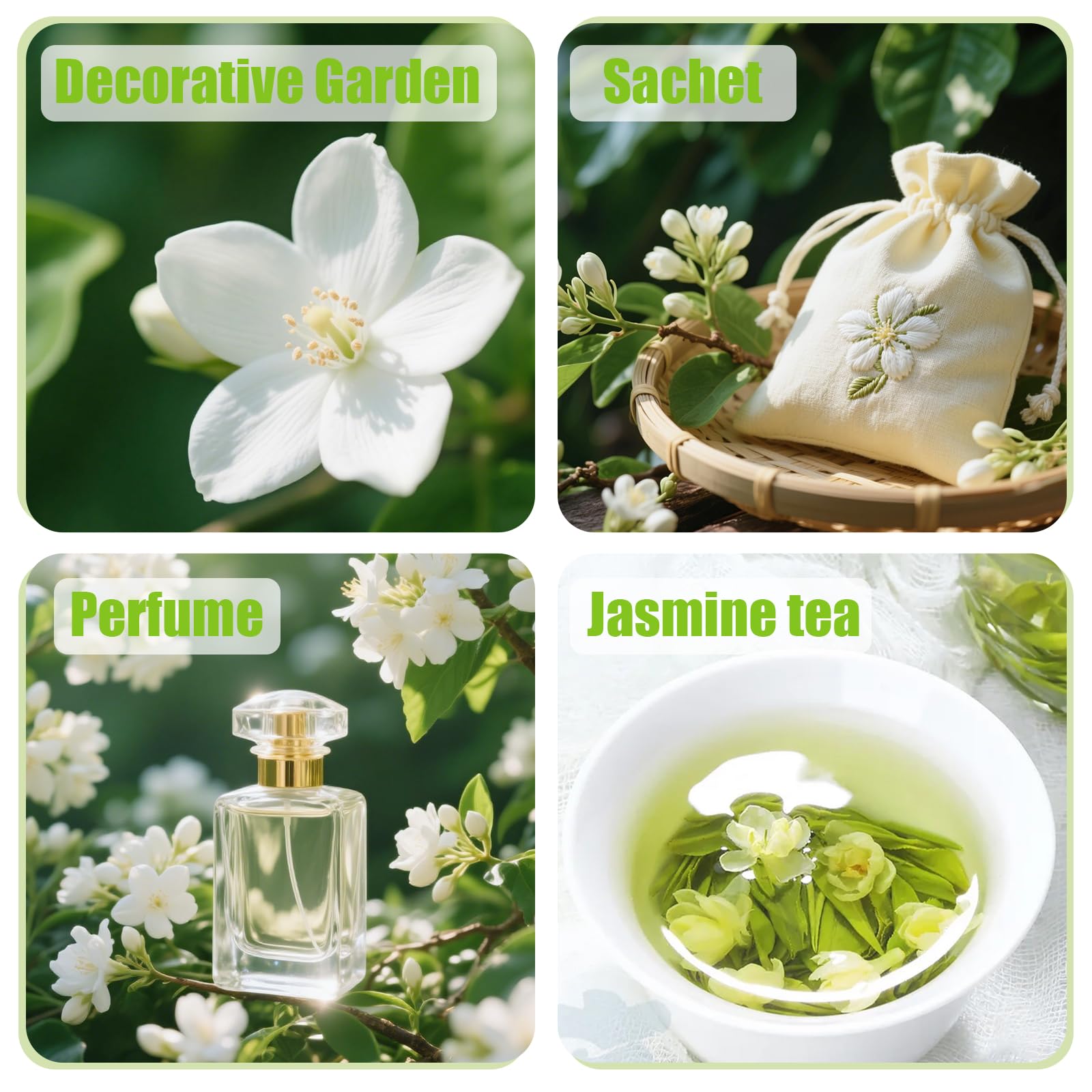 EquSym balcony garden jasmine display for a small outdoor space