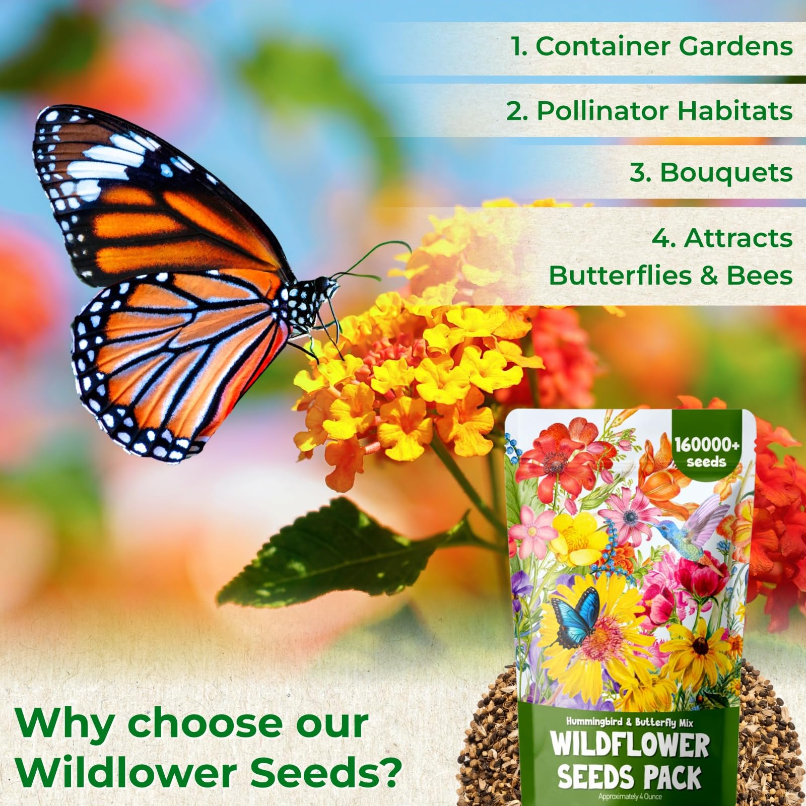 EquSym balcony garden wildflowers ideal for small spaces and container planting.