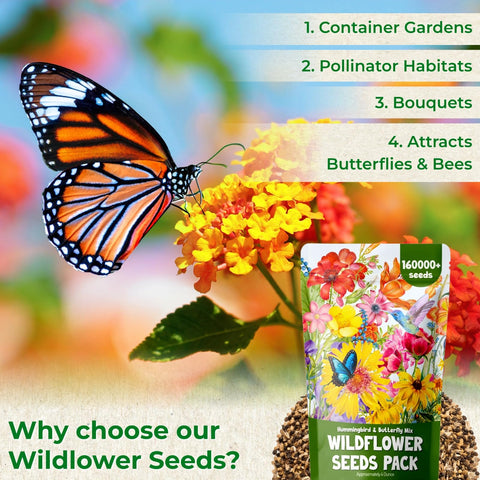 EquSym balcony garden wildflowers ideal for small spaces and container planting.