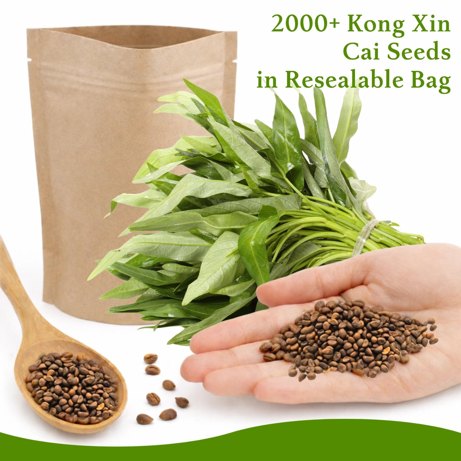 Container garden with EquSym Kong Xin Cai for fresh greens at home.