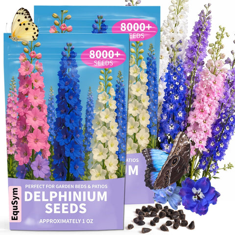 EquSym delphinium seeds two-pack packets ready for spring sowing in home gardens