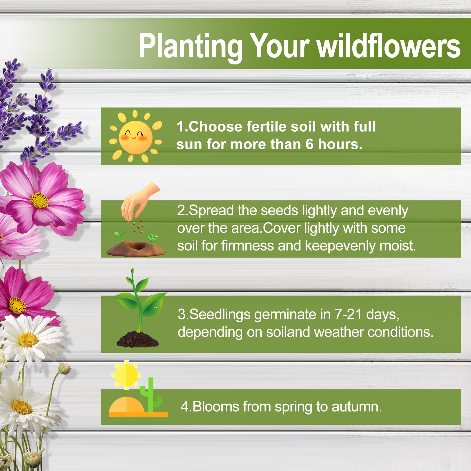 EquSym easy-grow wildflowers suited for beginners and quick milestone blooms.