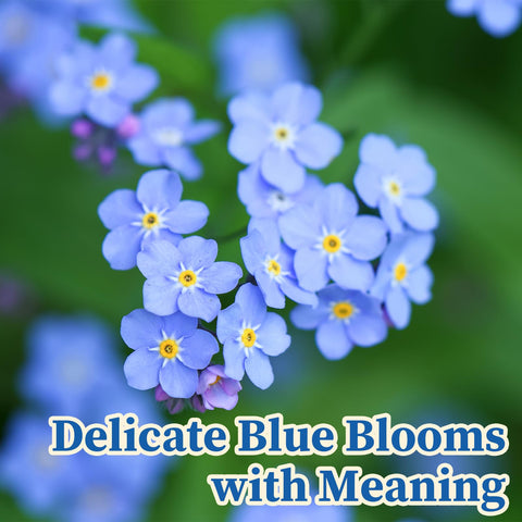 EquSym memorial and wedding seed mix adds meaningful blue color.