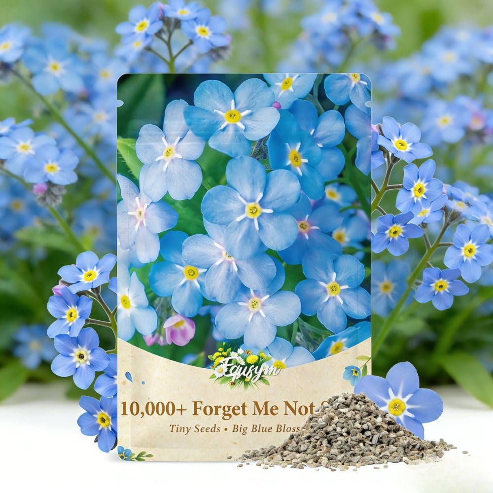 EquSym Forget-Me-Not seeds packet showing high germination potential for dense blue blooms.