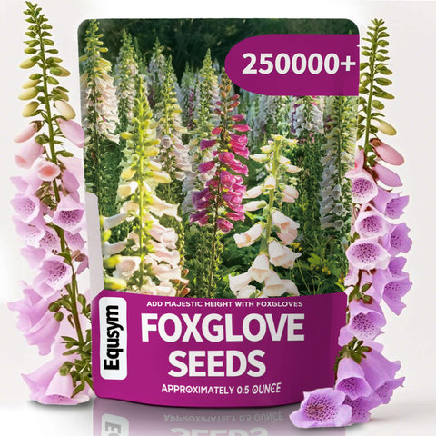 EquSym foxglove seeds bulk pack for borders boosts garden color and bulk planting options.