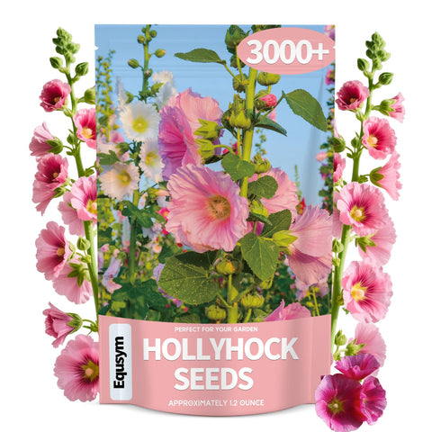 EquSym hollyhock seeds mixed-color blooms for vibrant border planting
