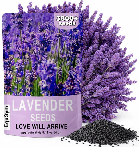 EquSym lavender-seeds-3800 bulk: high germination potential for lush garden beds.