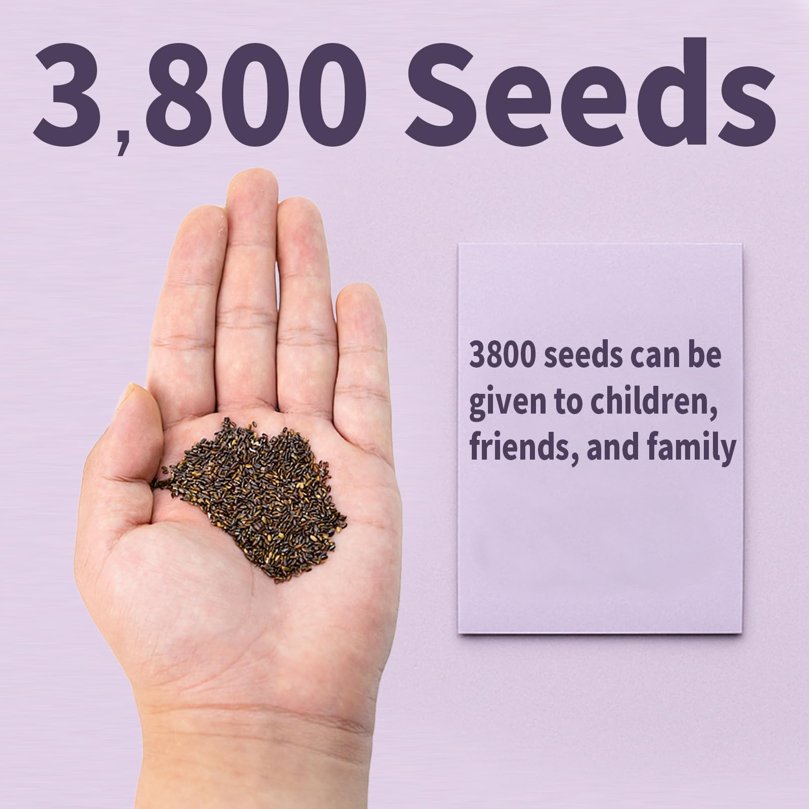 EquSym lavender-seeds-germination-test: start with 30 seeds to gauge soil conditions.