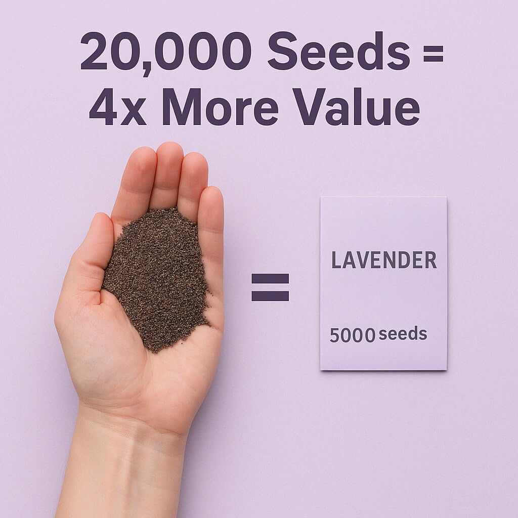 EquSym lavender seeds in gift pouch ready for gifting