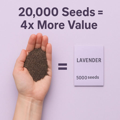 EquSym lavender seeds in gift pouch ready for gifting