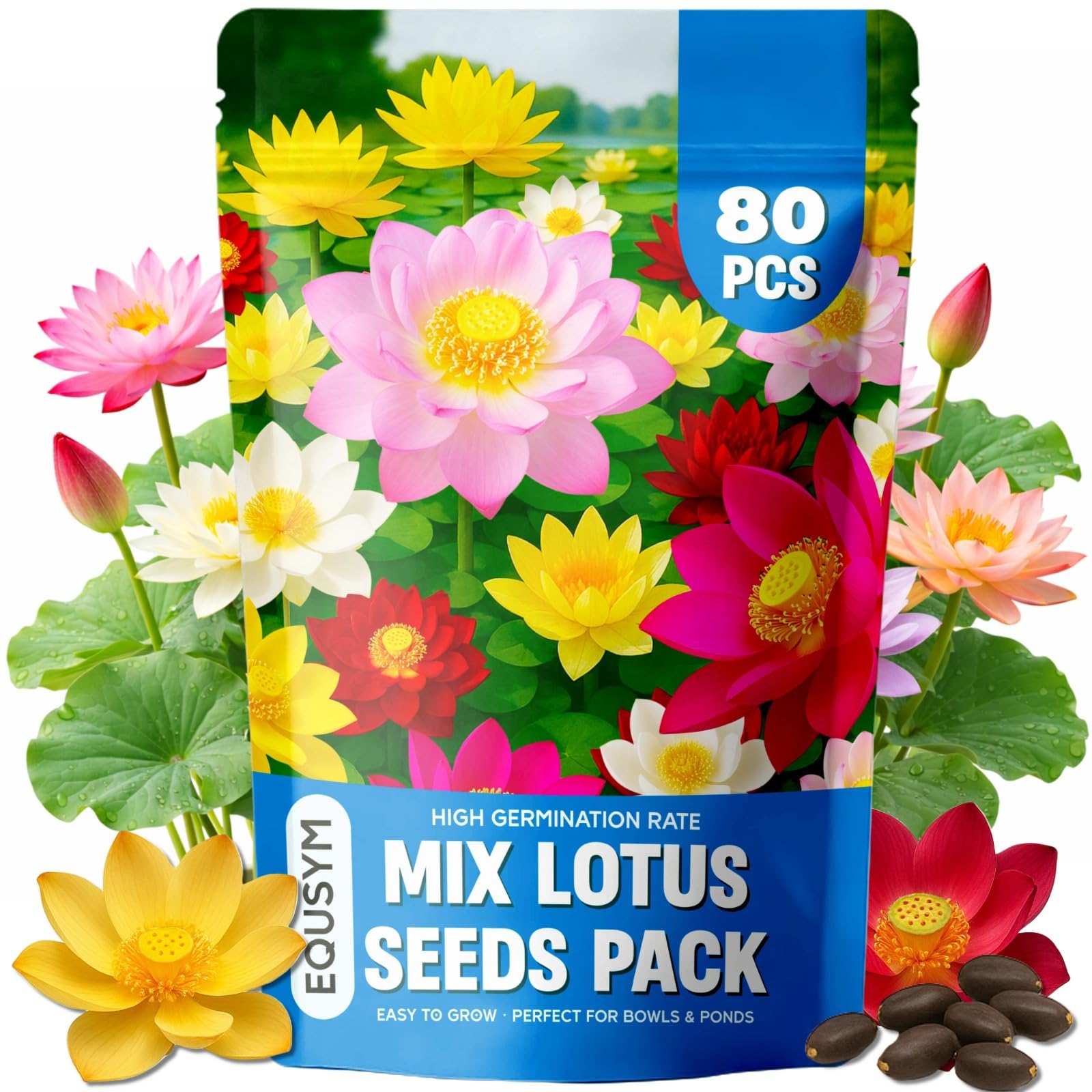 EquSym lotus seeds color mix ready for vibrant water garden display