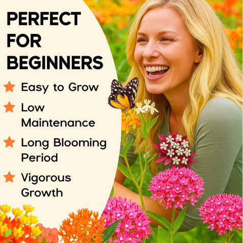 EquSym milkweed varieties bloom in multiple colors to attract butterflies.