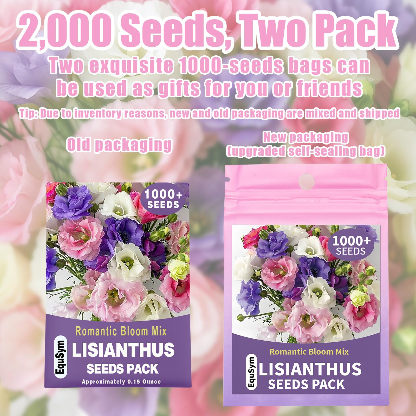 EquSym mixed-color eustoma blooms preview for borders and containers.