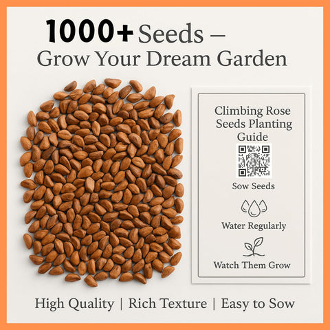 EquSym non-GMO rose seeds for chemical-free, family-friendly gardening.