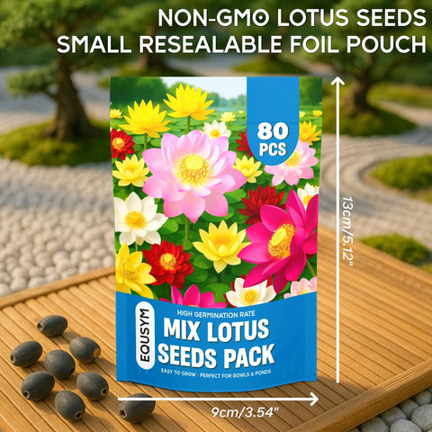 EquSym pink and white lotus bloom adds serene color to ponds