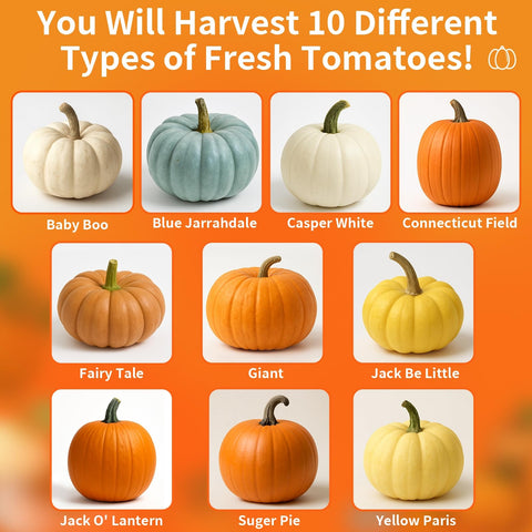 EquSym planting guide included with step-by-step pumpkin planting tips.